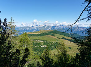 Da una finestra nel bosco vista sull&rsquo;arco alpino (Sentiero delle Tre Cime).