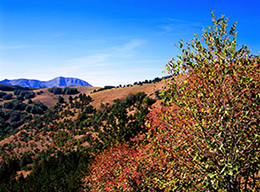 Monte Boragine e M.la Cerasa