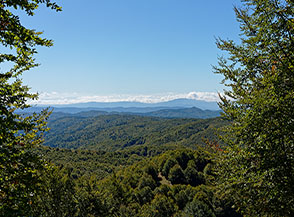 Uno sguardo verso l&rsquo;Aspromonte dai boschi della Sila (Monte Botte Donato).