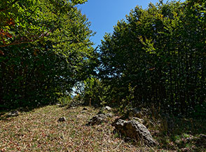 Il fazzoletto prativo sulla cima del Monte Coppo.