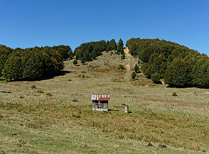 &ldquo;Scorcio silano&ldquo; (Monti della Sila).