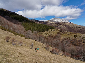 In traverso su un fosso laterale della Valle Viario.