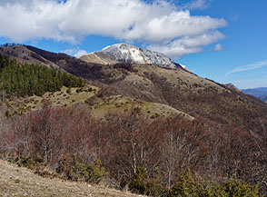 Monte Valloni visto dalla Valle Viario.