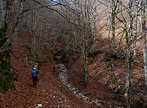 Attraversamento del fosso della Valle Viario nei pressi di Fonte Porcini.