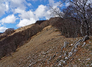 Scorcio della Cresta Sud-Est di Colle delle Scangive.