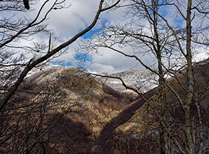 Tra le chiome spoglie dei faggi distinguiamo il Monte Rotondo ed ai suoi piedi il Fosso de la Bandita.