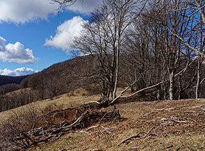 Scorcio della Cresta Sud-Est di Colle delle Scangive dall&rsquo;anticima di quota 1591m.