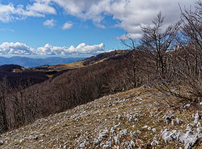 Dalla cima di Colle delle Scangive vista verso Campoforogna.