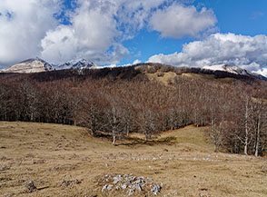 Vista verso il Terminillo dai prati sommitali di Colle Roseti.