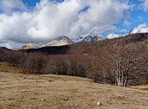 Dalla cima di Colle Roseti come in parata si allineano sullo sfondo i monti del: Terminilluccio, Terminilletto e Terminillo.