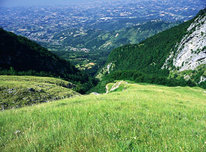 Sui prati del Fosso Malepasso.