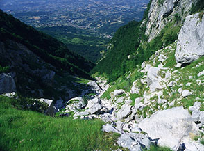 Il letto del torrente nel Fosso Malepasso.