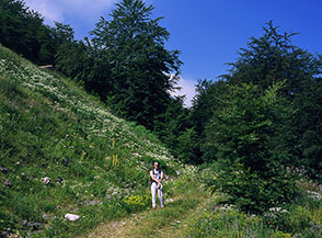 Al termine della pista sterrata che risale il Bosco di San Pietro.