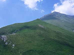 La verde cuspide di Cima delle Fienare.