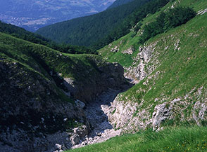 Il fosso centrale del Vallone all&rsquo;inizio del bosco.
