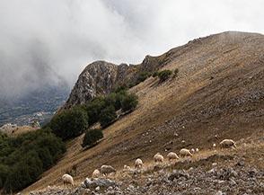 Scorcio sul fianco settentrionale dalla cima del Monte Bulgheria.