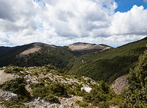 Vista sui boschi di Serra Pornia alle pendici del Monte Bulgheria.