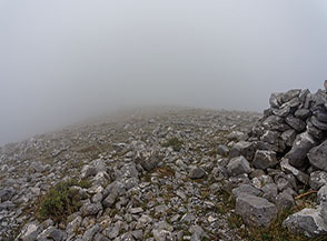 &ldquo;Vista annebbiata&ldquo; (Monte Bulgheria).