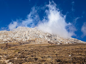 Sul brullo pendio di Selvata alle pendici meridionali del Monte Cafornia.