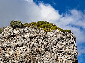 Particolare di un macigno nel Vallone Rietello.