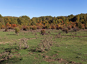 Scorcio sui prati di Piana del Lago.