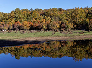 &ldquo;Il bosco allo specchio&ldquo; (riflessi sullo specchio d&rsquo;acqua di Piana del Lago).