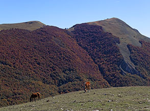 Vista sul Monte Volturino dalla cima del Calvelluzzo.