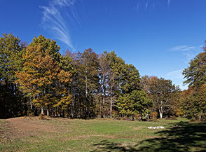Un&rsquo;ultima radura sulla via del ritorno nei pressi di Piana del Lago.