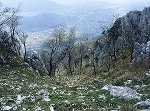 All&rsquo;imbocco del canalino che immette sul ripido Versante Sud del Monte Sambucaro.