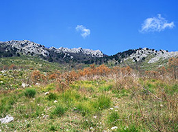 Colle Castellone e Monte Sammucro