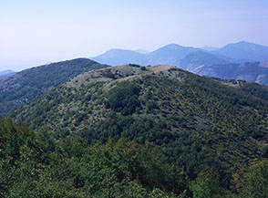 Dal Calvilli guardando verso Monte Calvo.