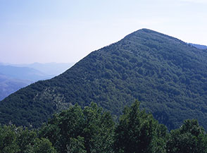 Il Monte Nibbio (dal Monte Vona).