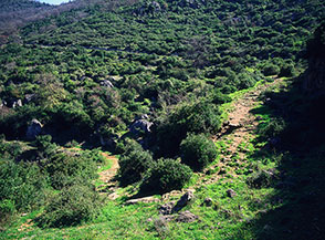 Inizio dell&rsquo;antica strada che collegava la Valle di San Vito con Valle Buana.