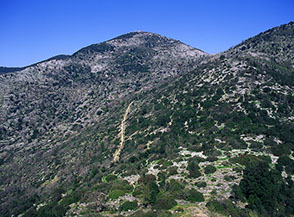 La dorsale che dalle rovine di Sant&rsquo;Angelo porta sul Monte Latiglia, sulla sfondo al centro Monte Calvo.