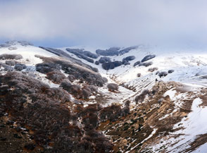 &ldquo;Cartolina invernale&rdquo; (nella suggestiva Valle Cupa).