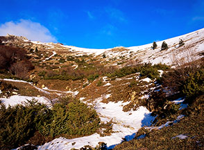 Scorcio sui prati della parte alta della Valle Rio del Falconetto.