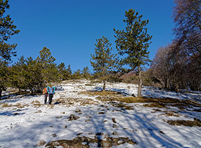 Sulla Cresta Sud-Est del Monte Calvo.