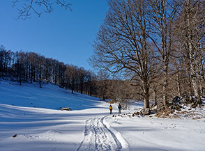 Nel tratto iniziale di Valle Maiura.
