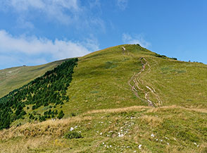 Il verde crestone sommitale che sale sulla cima dell&rsquo;Altissimo da est.