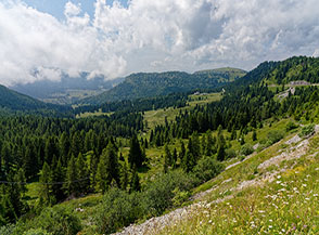 Vista sulla Valbona dal valico omonimo.