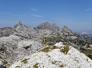 Vista sulla vasta vallata del Foran dal Muss con il Monte Sart sullo sfondo.