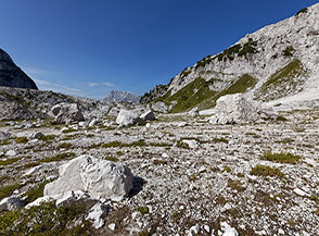 Sul fondo del glaciale Piano del Prevala.