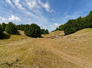 Scorcio di paesaggio nei pressi di Capo di Voltigno.