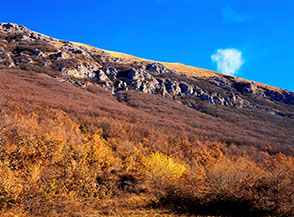 Vista sulla Cresta Sud-Est del Monte Cappucciata.