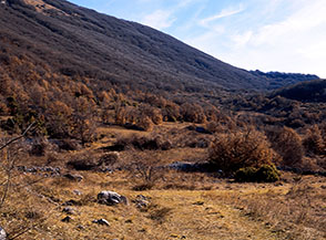 Sui prati alle pendici meridionali della Cresta Sud-Est del Monte Cappucciata.
