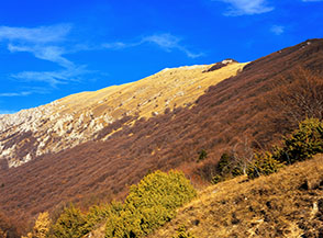 Il versante meridionale di Monte Cappucciata.