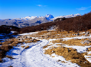 Lungo la Valle di Pietraflora.