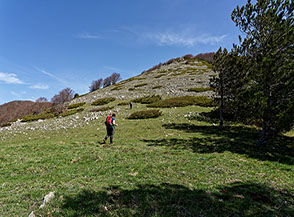 Pettata che precede la cima della Serra del Lepre.