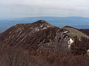 La cresta e la cima del Cozzo di Borraccia.