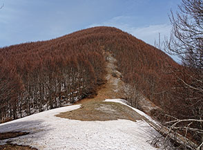 La sella che separa Serra della Lupara (di fronte) dalla sua Anticima Nord.